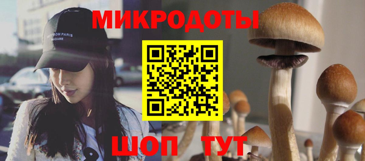 Псилоцибиновые грибы прущие грибы  Галлюциногенные грибы Magic Shrooms  Вход с VPN  Тавда 