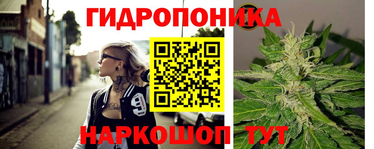 Конопля индика Тавда